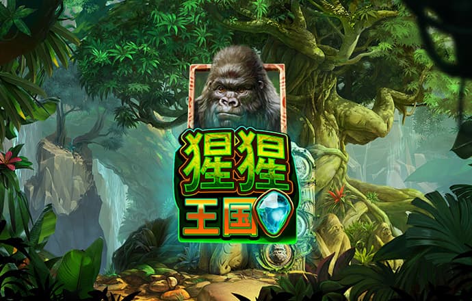 幻影体育app官网入口